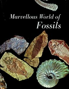Marvellous World of Fossils