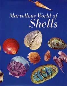 Marvellous World of Shells