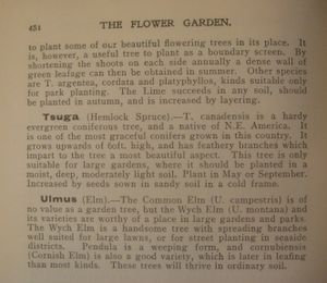 The Flower Garden: Its Design, Formation, Planting and Management, including the Description and Cultivation of all Hardy and Half-hardy Plants, Trees and Shrubs adapted for Outdoor Culture in the British Isles