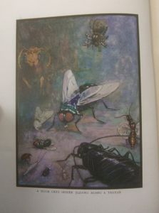 The Twelve Sisters, and Other Stories