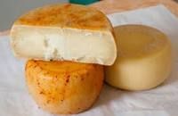 Pecorino del Monte Poro D.O.P.