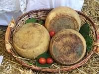 Canestrato di Moliterno I.G.P.