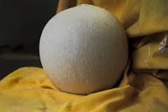 Pallone di Gravina P.A.T.