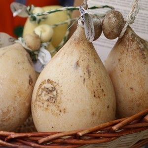 Caciocavallo podolico P.A.T.