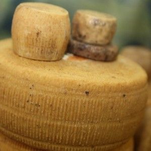 Pecorino d'Abruzzo P.A.T.