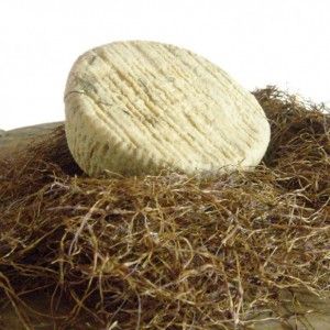 Caciofiore aquilano P.A.T.