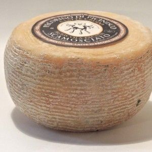 Pecorino di Picinisco D.O.P.