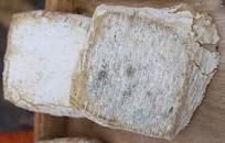 Caciofiore di Columella P.A.T.
