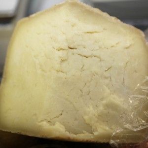 Pecorino della Montagna Pistoiese P.A.T.