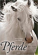 Pferde: Rassen, Reitkunst Und Traditionen Aus Aller Welt