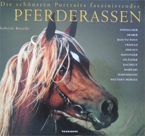 Die Schönsten Portraits Faszinierender Pferderassen: Andalusier, Araber, Basuto Pony, Criollo, Friesen, Haflinger, Isländer, Kaltblut, Marwari, Maremmano, Western Horses