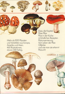 Pilzatlas