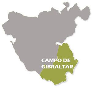 Campo de Gibraltar
