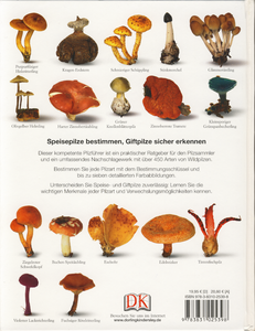 Pilze: Das große Bestimmungsbuch