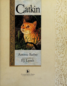 Catkin
