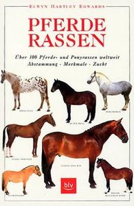 Pferderassen: Über 100 Pferde- Und Ponyrassen Weltweit, Abstammung, Merkmale, Zucht