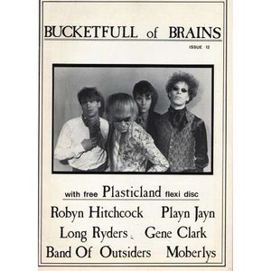 Bucketfull of Brains: Issue 12