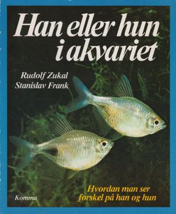 Han eller hun i akvariet - Hvordan man ser forskel på han og hun