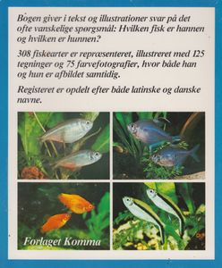 Han eller hun i akvariet - Hvordan man ser forskel på han og hun