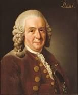 Carl Linnaeus (2)