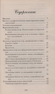 Астры
