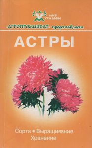 Астры