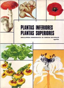 Plantas Inferiores. Plantas Superiores