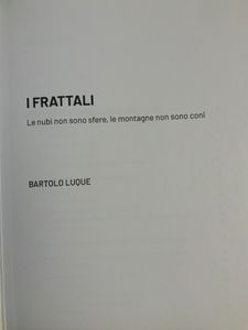 Grandi idee della matematica - n. 27 - I frattali