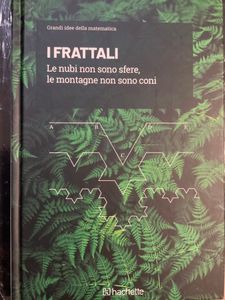 Grandi idee della matematica - n. 27 - I frattali