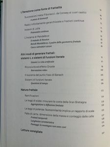 Grandi idee della matematica - n. 27 - I frattali
