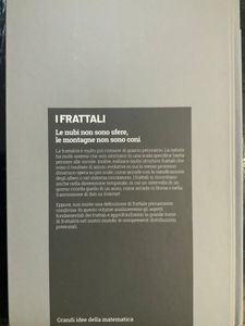 Grandi idee della matematica - n. 27 - I frattali