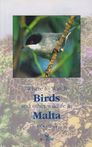 Where to Watch Birds and other wildlife in Malta