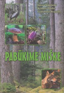 Pabūkime Miške