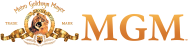 Metro-Goldwyn-Mayer, Inc.