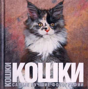 Кошки. Самые лучшие фотографии