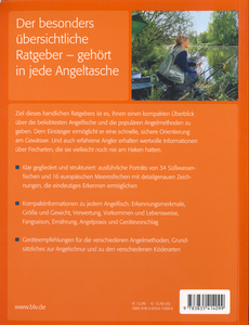 50 Angelfische und wie man sie fängt