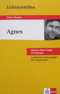 Klett Lektürehilfen Agnes