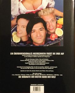 Die Ärzte. Ein überdimensionales Meerschwein frisst die Erde auf - die Biografie der besten Band der Welt