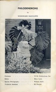 Philodendron ...in the Garden