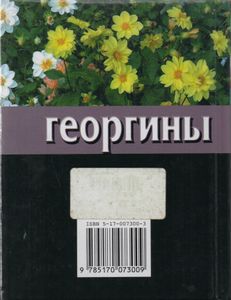 Георгины: Выращивание И Уход