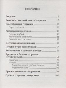 Георгины: Выращивание И Уход