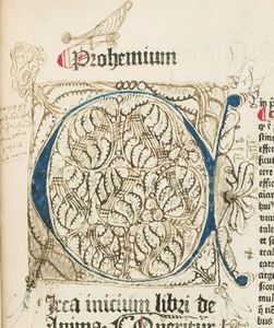 Book illustration