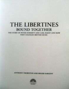 The Libertines: Bound Together
