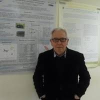 Arnaldo D'Amico