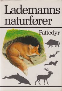 Pattedyr