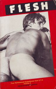 Flesh: True Homosexual Experiences from S.T.H., Volume 2