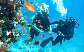 Scuba Diving