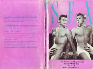 Sex: True Homosexual Experiences from STH Writers, Volume 3