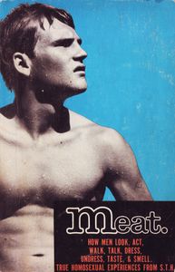 Meat: True Homosexual Experiences from S.T.H. (3rd Printing)