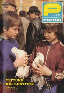 Pajtás 78/19
